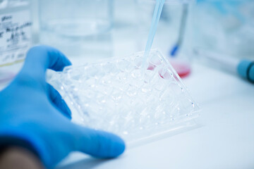 cell culture at the safety cabinet in cell culture laboratory, cancer and medicine research 
