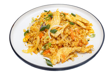 Vietnamese cuisine and food, chicken fried rice, meat on a plate, on a white isolated background