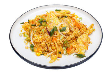 Vietnamese cuisine and food, chicken fried rice, meat on a plate, on a white isolated background