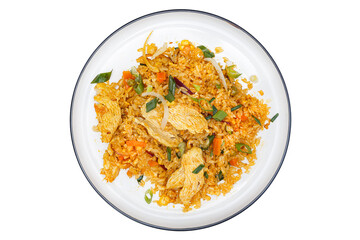 Vietnamese cuisine and food, chicken fried rice, meat on a plate, on a white isolated background