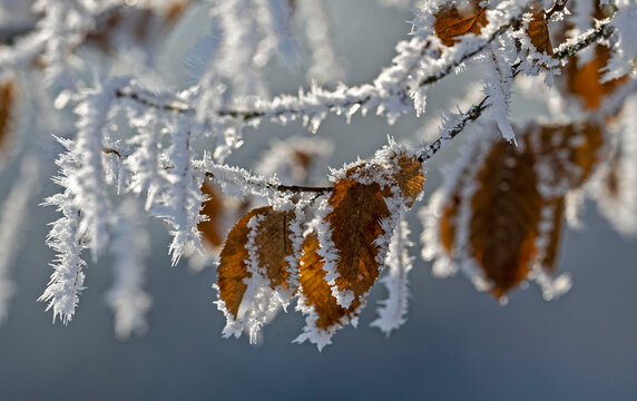 Winter im Unterallg&auml;u