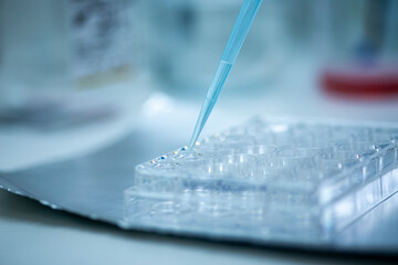 geneticist working with microplate for cells analysis in the genetic lab. Researcher working with...