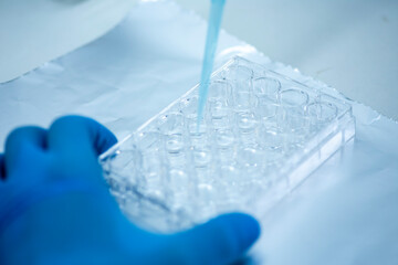 geneticist working with microplate for cells analysis in the genetic lab. Researcher working with samples of tissue culture in microplate in the bioengineering laboratory