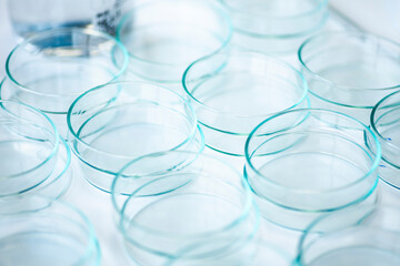 geneticist working with microplate for cells analysis in the genetic lab. Researcher working with samples of tissue culture in microplate in the bioengineering laboratory