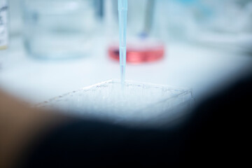 cell culture at the safety cabinet in cell culture laboratory, cancer and medicine research 