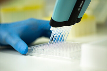 geneticist working with microplate for cells analysis in the genetic lab. Researcher working with...