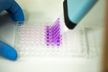 geneticist working with microplate for cells analysis in the genetic lab. Researcher working with...