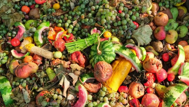 Food Waste. Compostable food scraps. Domestic organic waste for compost from fruits and vegetables. Recyclable materials. Separate waste collection. Compost bin with organic waste