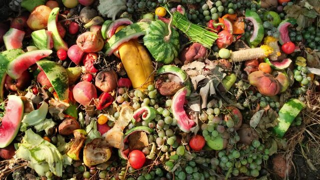 Food Waste. Compostable food scraps. Domestic organic waste for compost from fruits and vegetables. Recyclable materials. Separate waste collection. Compost bin with organic waste