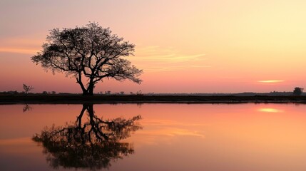 Fototapeta na wymiar a lone tree sitting in the middle of a body of water with the sun setting in the background and the sky reflecting off of the water in the foreground.