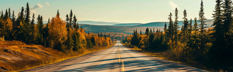 Highway Road stretching through a forested wilderness landscape.
