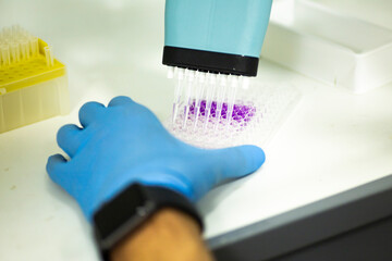 geneticist working with microplate for cells analysis in the genetic lab. Researcher working with...