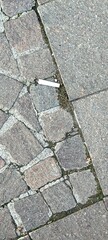 Close-up of stone pavement with diverse shapes, adorned with grass and moss. A white cigarette butt stands out, symbolizing urban pollution amid natural beauty