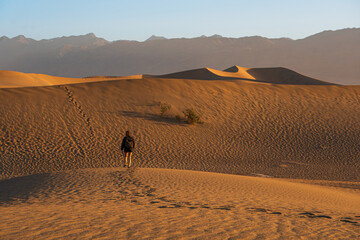Fototapeta na wymiar Woman walking in the desert of Death Valley, California, at sunrise. Bright light and orange colored sand dunes. 