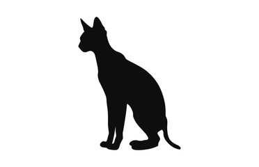 A Peterbald Cat Silhouette black art isolated on a white background