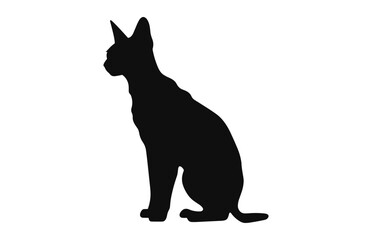 Peterbald Cat Silhouette black art isolated on a white background