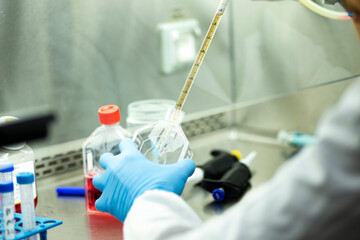 geneticist working with microplate for cells analysis in the genetic lab. Researcher working with...