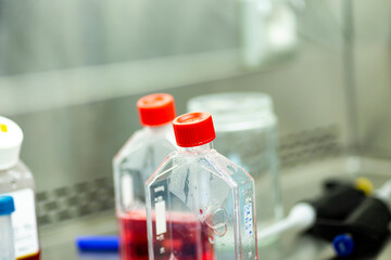 geneticist working with microplate for cells analysis in the genetic lab. Researcher working with samples of tissue culture in microplate in the bioengineering laboratory, medicine laboratory
