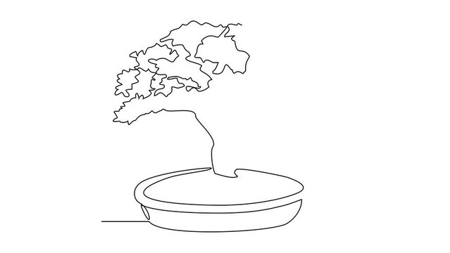 Animated Self drawing of a very nice bonsai plant in front of the house video illustration. Bonsai plant design illustration simple linear style video concept. bonsai design illustration for asset.