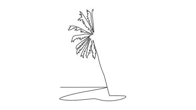 Animated self drawing of Coconut tree near the beach video illustration. Shady coconut trees to enjoy the beach atmosphere in simple linear style. Landscape and environment design concept for asset.