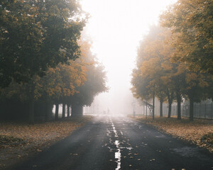 road in the fog