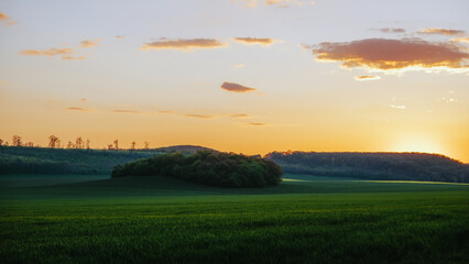 sunset over the field