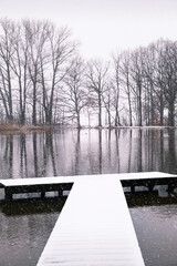 pond at winter