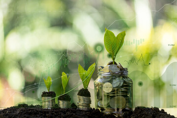 Growing money, finance and investment. Seedling are growing with business arrow of growth. Young...