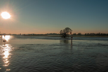 High water in the river IJssel between De Steeg and Doesburg in the Netherlands