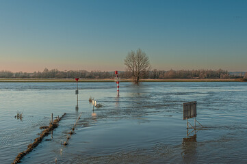 High water in the river IJssel between De Steeg and Doesburg in the Netherlands