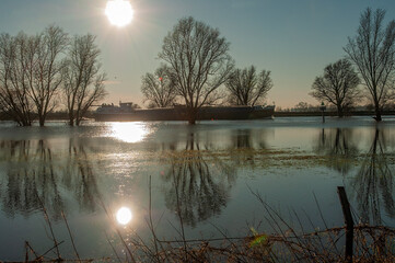 High water in the river IJssel between De Steeg and Doesburg in the Netherlands