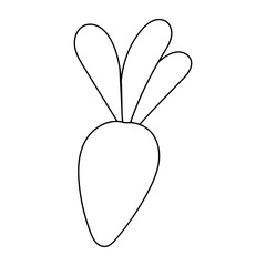 easter carrot vegetable food colored line doodle