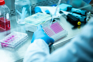 geneticist working with microplate for cells analysis in the genetic lab. Researcher working with samples of tissue culture in microplate in the bioengineering laboratory