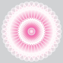 drawn flowers. Drawing style. Various colorful flowers for drawing, textile. Interior painting. flat design.Ornamental Geometric luxury mandala pattern vector design