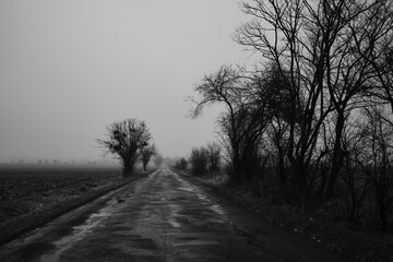 Droga, Czarno Biały, Nostalgia, Śmierć, Koniec drogi, Drzewa, Mrok, Przytłoczenie, Smutek,...