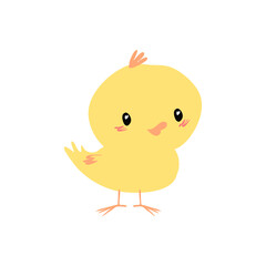 Cute yellow baby chick easter holiday vector illustration