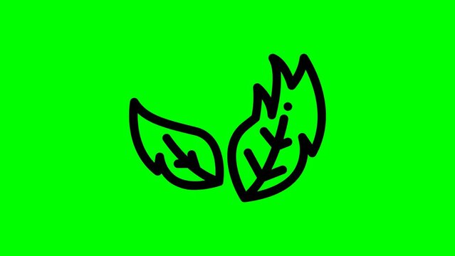 Leaf Icon Animation