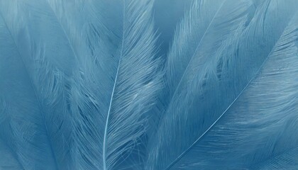 beautiful pastel dark blue color trends feather pattern texture background