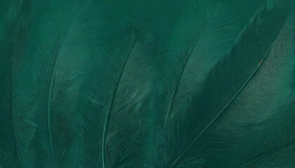 beautiful dark green viridian vintage color trends feather texture background