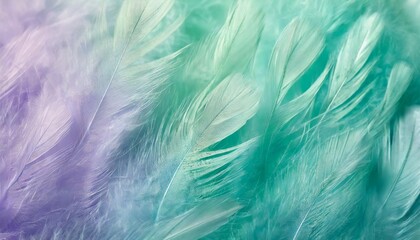 Fototapeta na wymiar green turquoise and blue color trends chicken feather texture background light purple violet