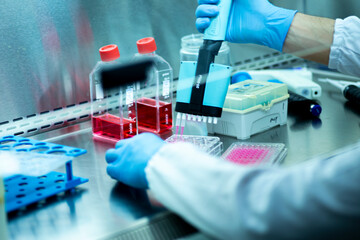 geneticist working with microplate for cells analysis in the genetic lab. Researcher working with...