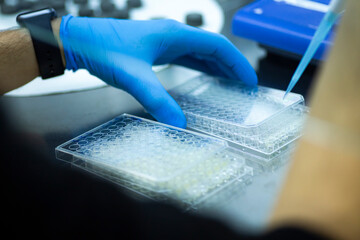 geneticist working with microplate for cells analysis in the genetic lab. Researcher working with...