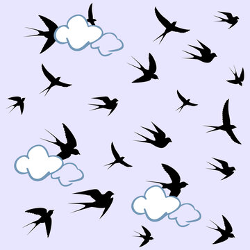birds circling in the clouds