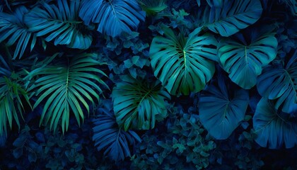 Fototapeta na wymiar abstract green leaf texture dark blue tone nature background tropical leaf