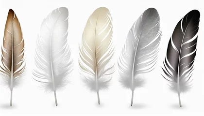 Papier peint Plumes beautiful collection feather isolated on white background