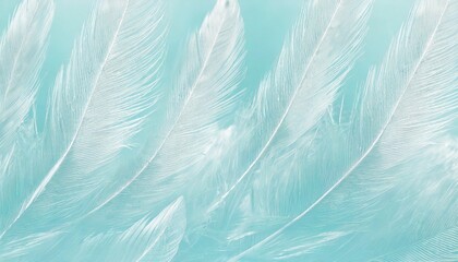 Fototapeta na wymiar beautiful white color trends feather pattern texture pastel blue turquoise background