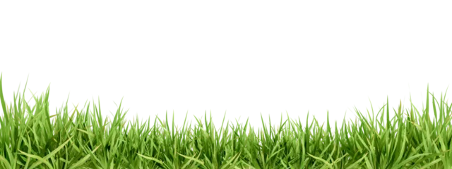 Fotobehang Fresh green grass isolated against a transparent background © Buffstock