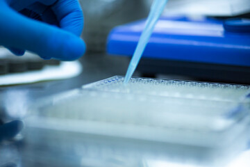 Researcher in laboratory working with cell culture, medical, medicine and cell culture laboratory,...