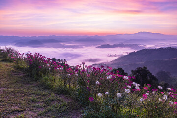 Beautiful sunrise in the morning with sea of mist on hight moutain, Mon Mok Tawan, Tak Province, Thailand.
