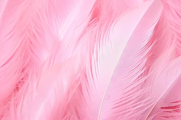 Foto auf gebürstetem Alu-Dibond Boho-Tiere pink feather pattern texture background